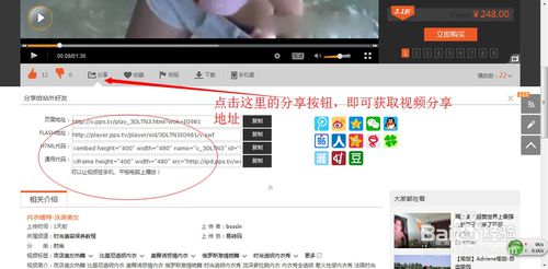 怎么快速查询pps分成联盟视频分享flash网址