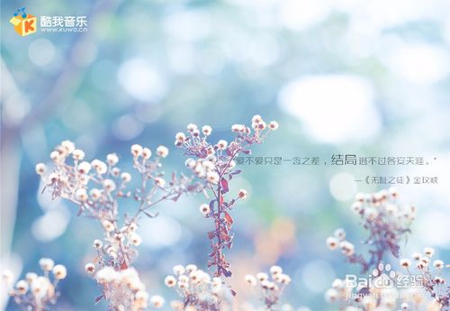 酷我音乐盒官方下载