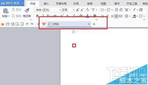 WPSOffice(5)