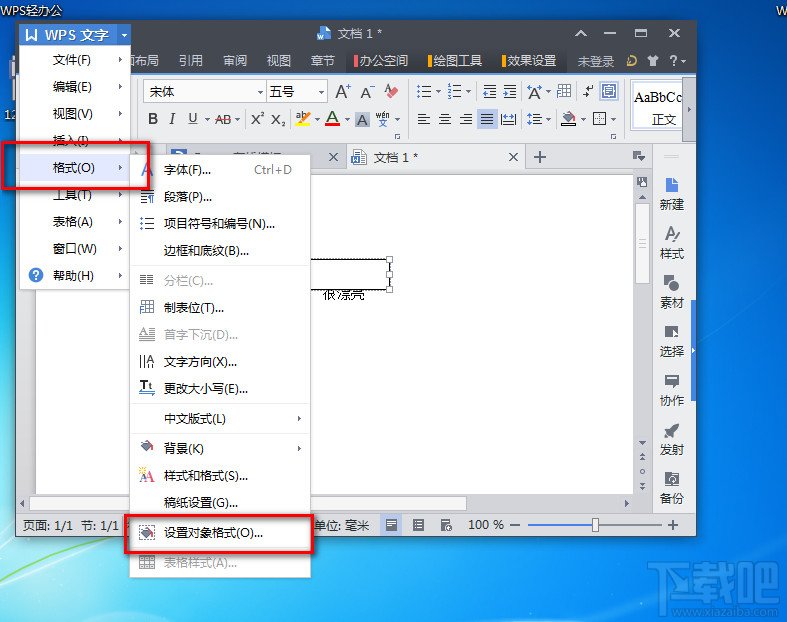 WPS文字加版权声明(2)