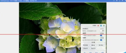 2345看图王批量添加水印(1)