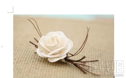 wps2016插入图片大小(1)