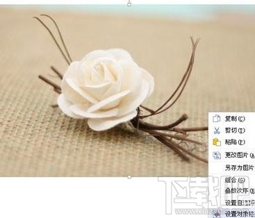 wps2016插入图片大小(2)