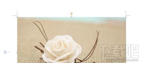 wps2016插入图片大小