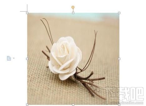 wps2016插入图片大小(4)