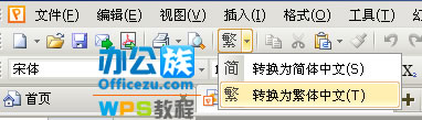 WPS文档字体转换(1)