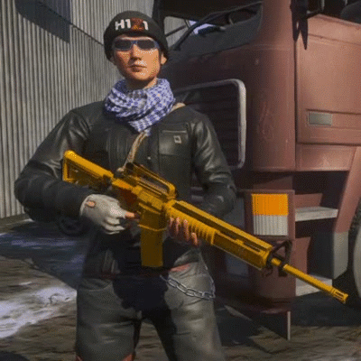 h1z1黄金ar15