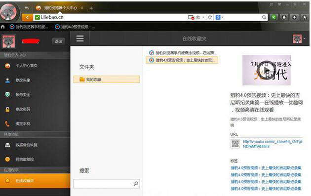 金山猎豹浏览器下载(1)