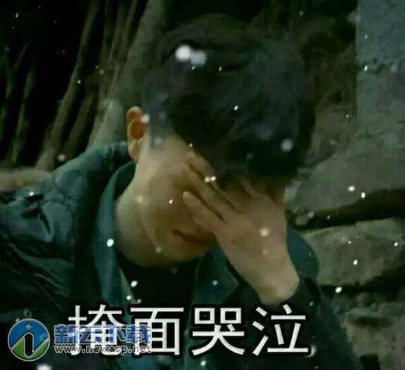 变形记陈新颖表情包