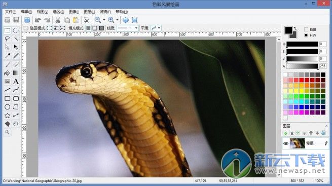 色彩风暴绘图工具