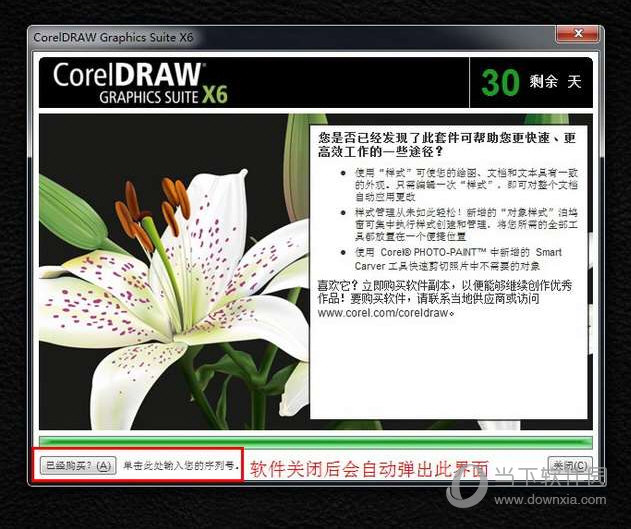 CorelDraw X6绿色版(15)