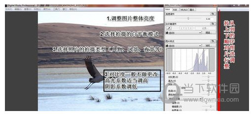 佳能CR2处理软件