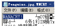 安天勒索病毒专杀工具(5)