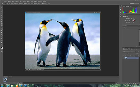 photoshopcs6下载