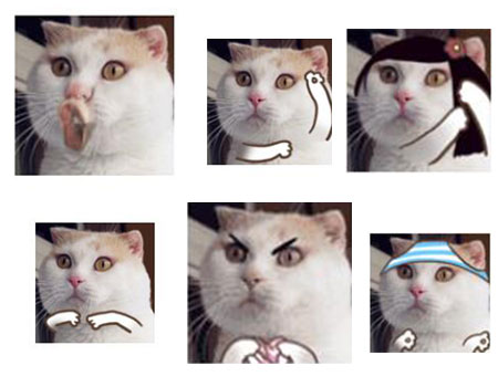 猫咪QQ表情包
