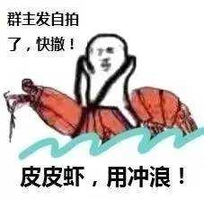 皮皮虾我们走QQ表情包