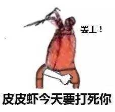 皮皮虾我们走QQ表情包