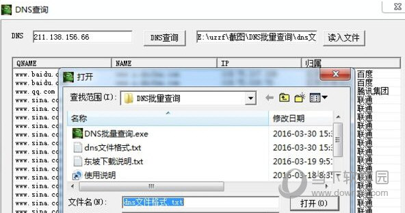dns查询软件(1)