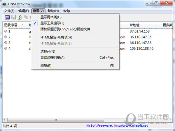 dns解析记录软件DNSDataView(4)