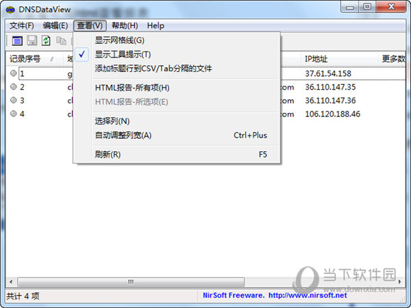 dns解析记录软件DNSDataView
