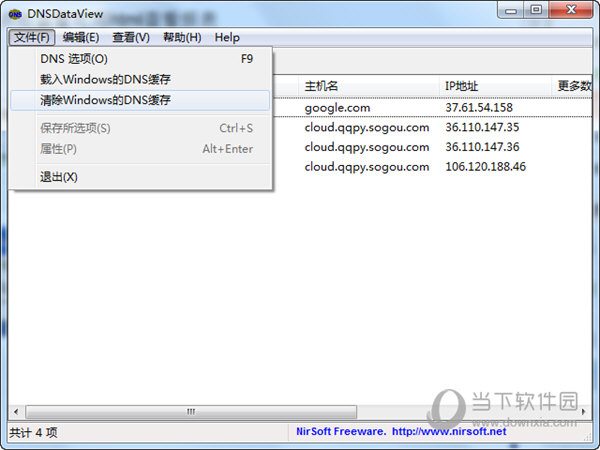 dns解析记录软件DNSDataView