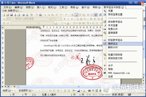 5s文档安全专家