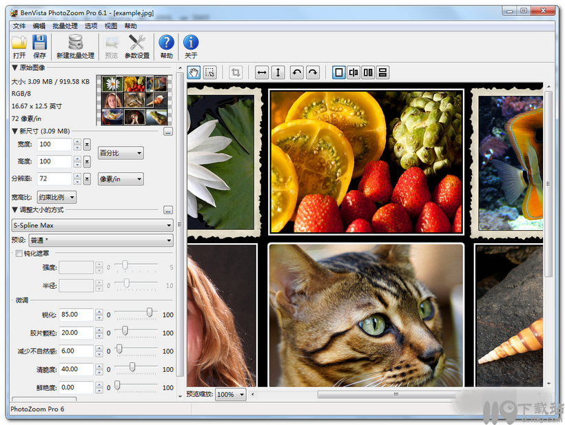 图像快速处理工具PhotoZoom Pro5