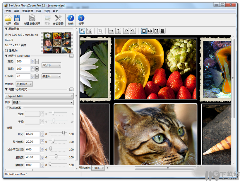 图像快速处理工具PhotoZoomPro5