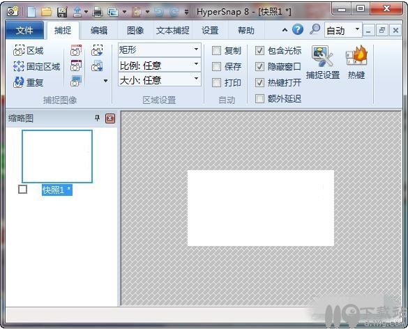 屏幕截图软件HyperSnap中文版