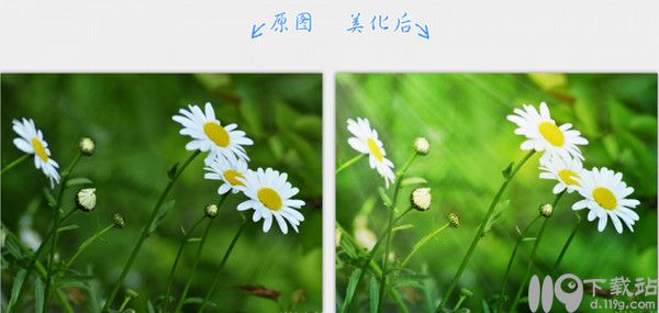 2345看图王官方网
