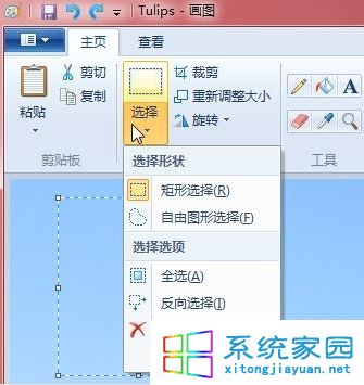 选择“自由图形选择”