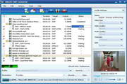 DekartPriateDisk