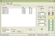 AudioCompanion