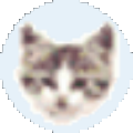 文件管理器EFFileCatalog