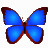 照片浏览器bkViewer