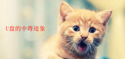 win7电脑中U盘中毒的表现有哪些?